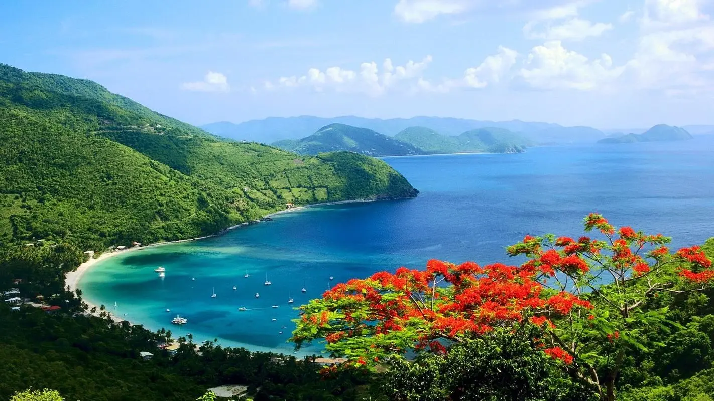 高效可靠性智能化